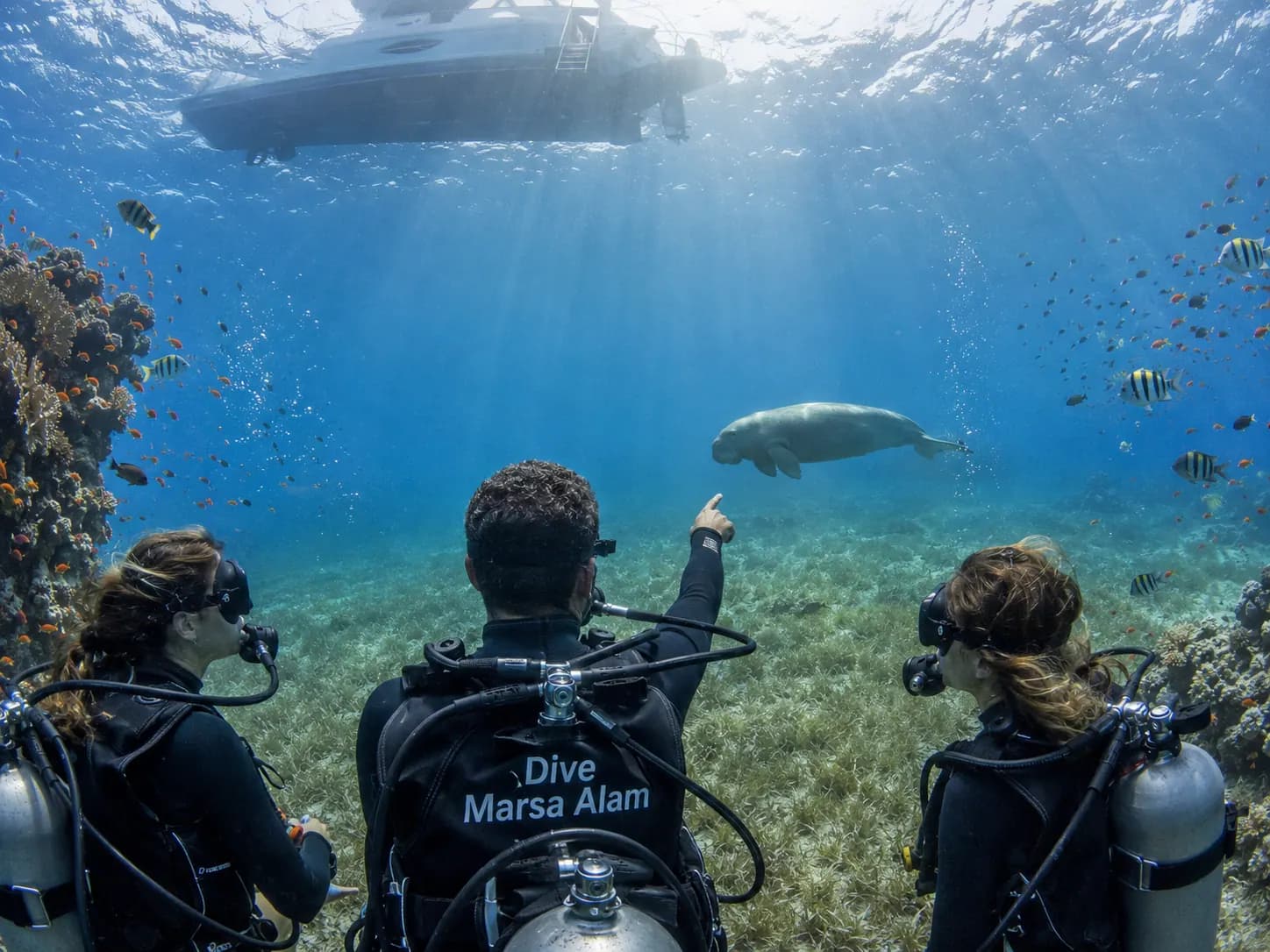 Underwater photo from a Red Sea dive trip in Marsa Alam