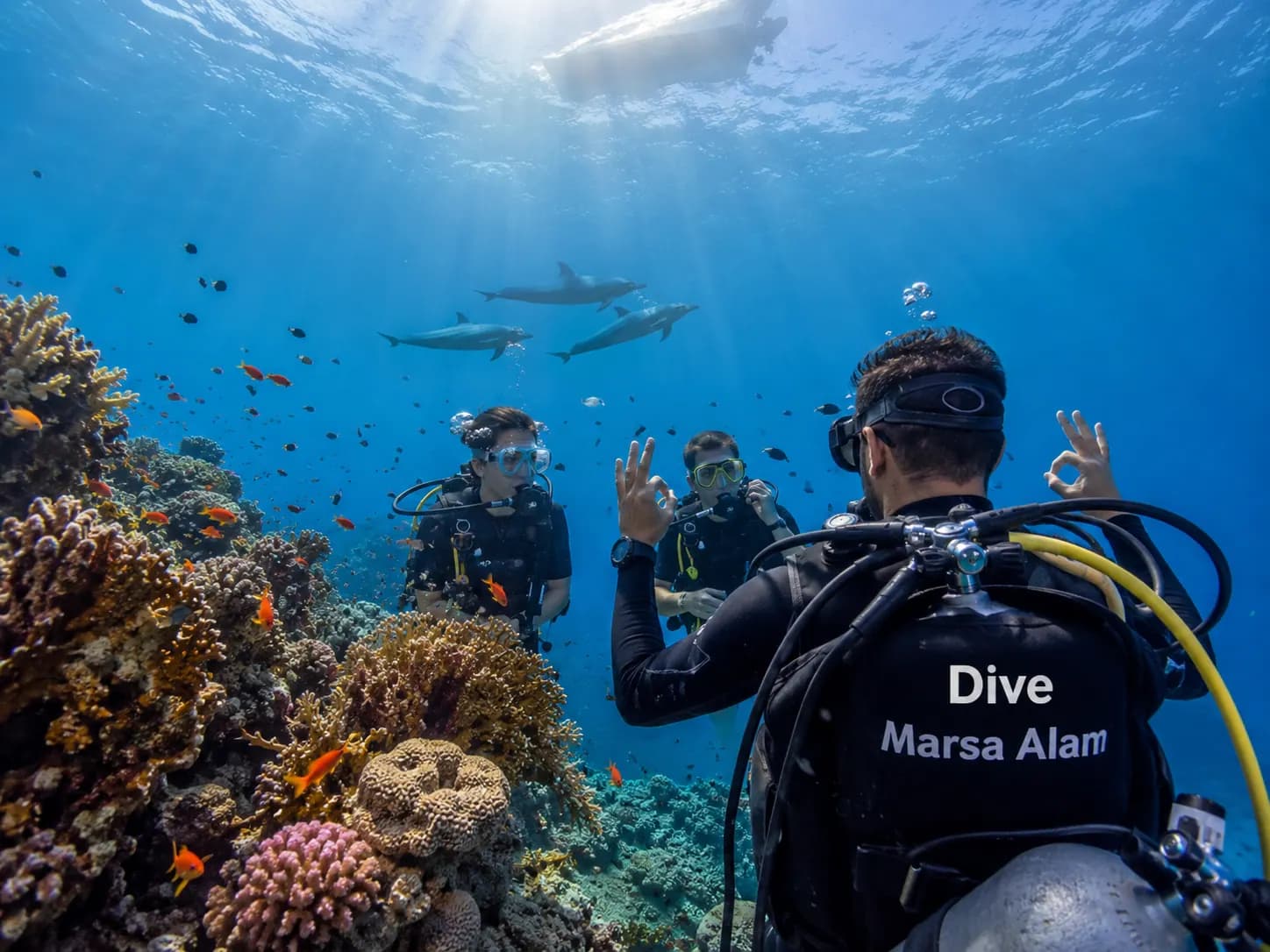 Underwater photo from a Red Sea dive trip in Marsa Alam