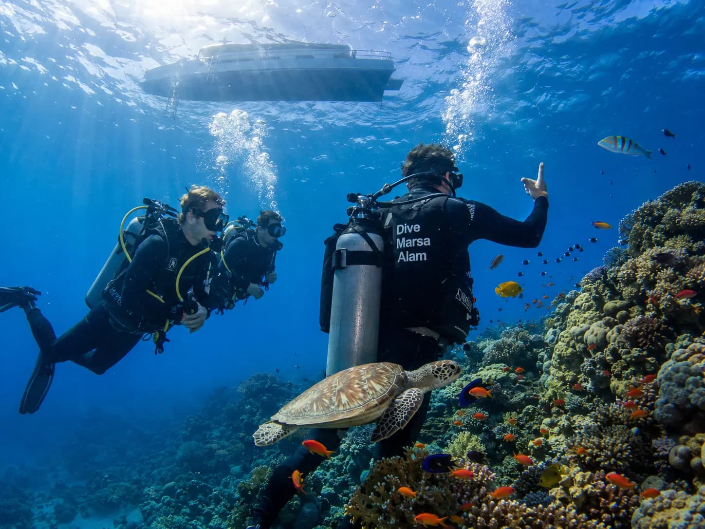Underwater photo from a Red Sea dive trip in Marsa Alam