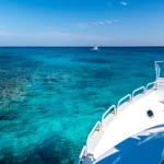 Dive into Adventure: Exploring Marsa Alam's Underwater Wonders with Dive Marsa Alam Company