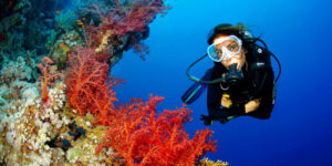 Scuba Diving Excursion In Marsa Alam - Trips In Egypt