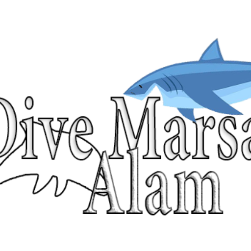 Dive Marsa Alam