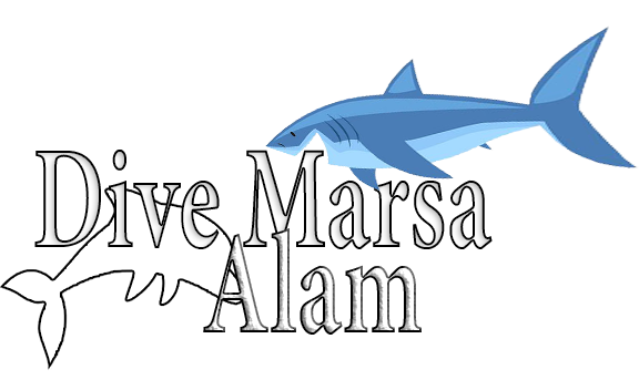 Dive Marsa Alam