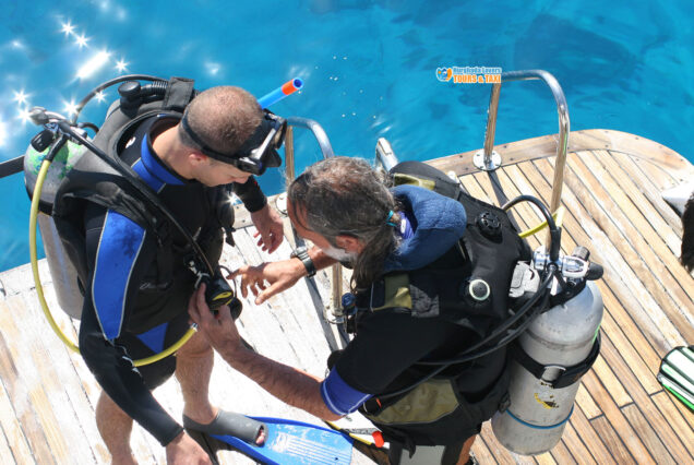 Daily Dive Marsa alam